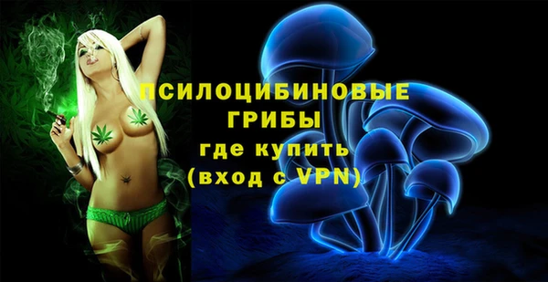 MDMA Premium VHQ Вяземский
