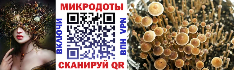 Галлюциногенные грибы мицелий  Купить где  Каспийск 